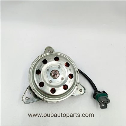 Mótar Fan Radaitheora Do Ford Focus (3M51-8C607-E)
